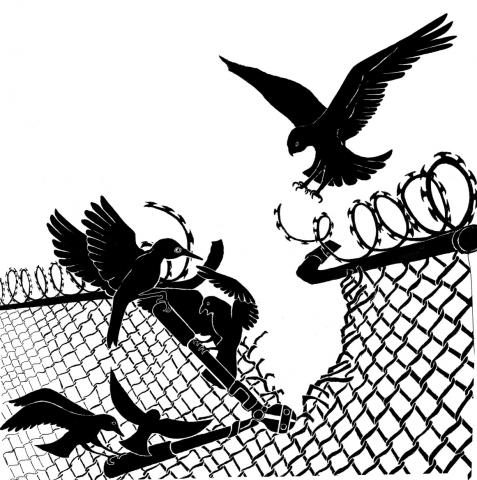 Solidarity to Prisoners image of several black birds tearing down a wire fence; from the Dreaming Freedom | Practicing Abolition website.